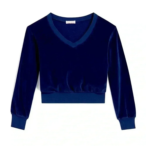 suzie kondi Tops - *NWT* Suzie Kondi The Vari V-Neck Top in Velour